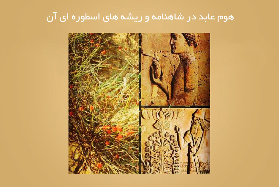 هوم عابد در شاهنامه و ریشه های اسطوره ای آن