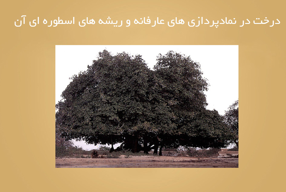 درخت در نمادپردازی های عارفانه و ریشه های اسطوره ای آن