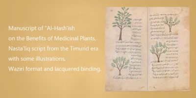 Manuscript-of-Al-Hash'ish